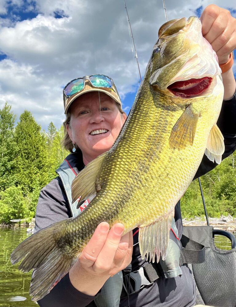corie bass