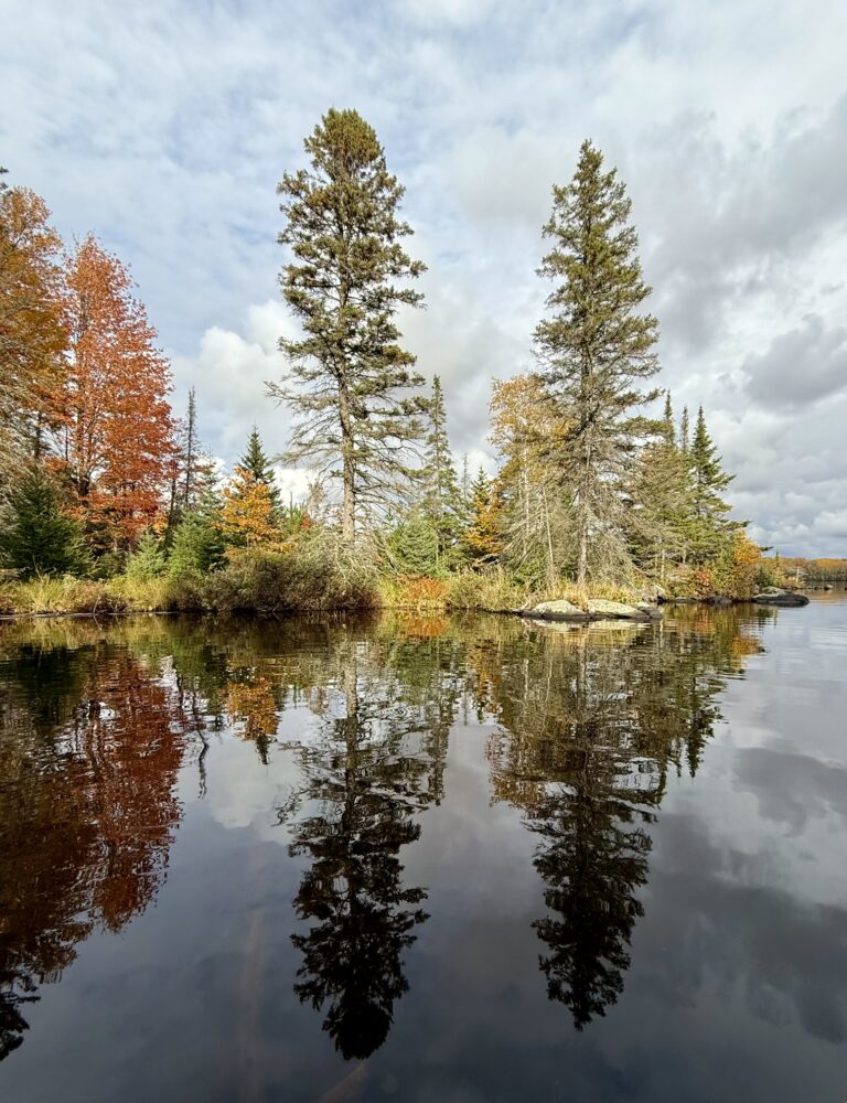 img 0017